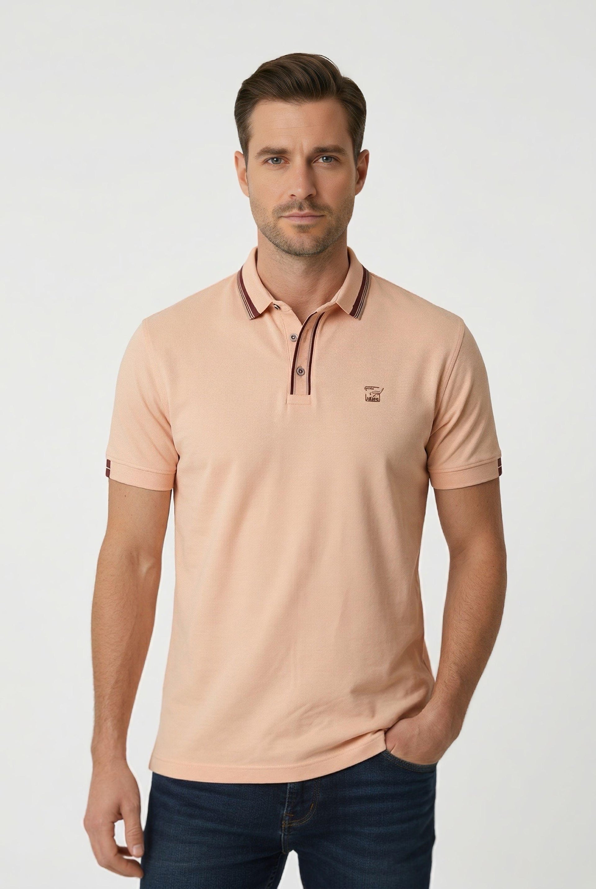 POLO CLASICA HOMBRE