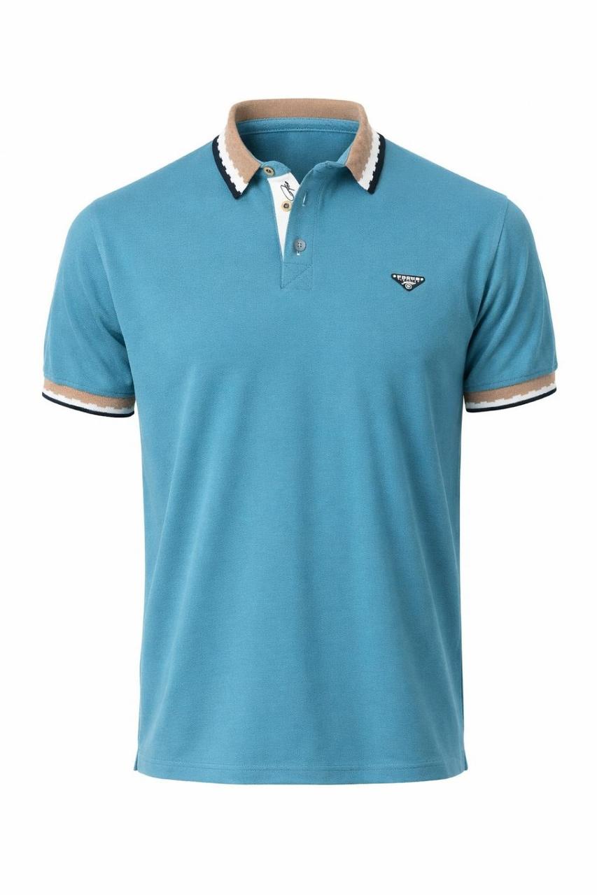 POLO CLASICA HOMBRE